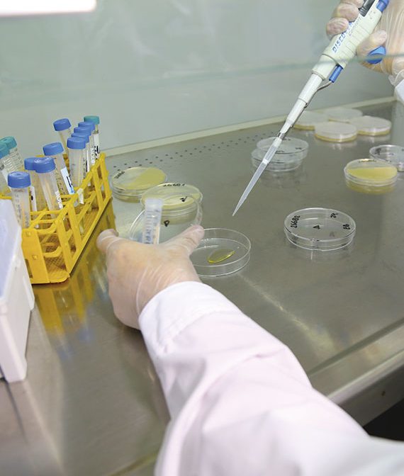 laboratorio-seccion